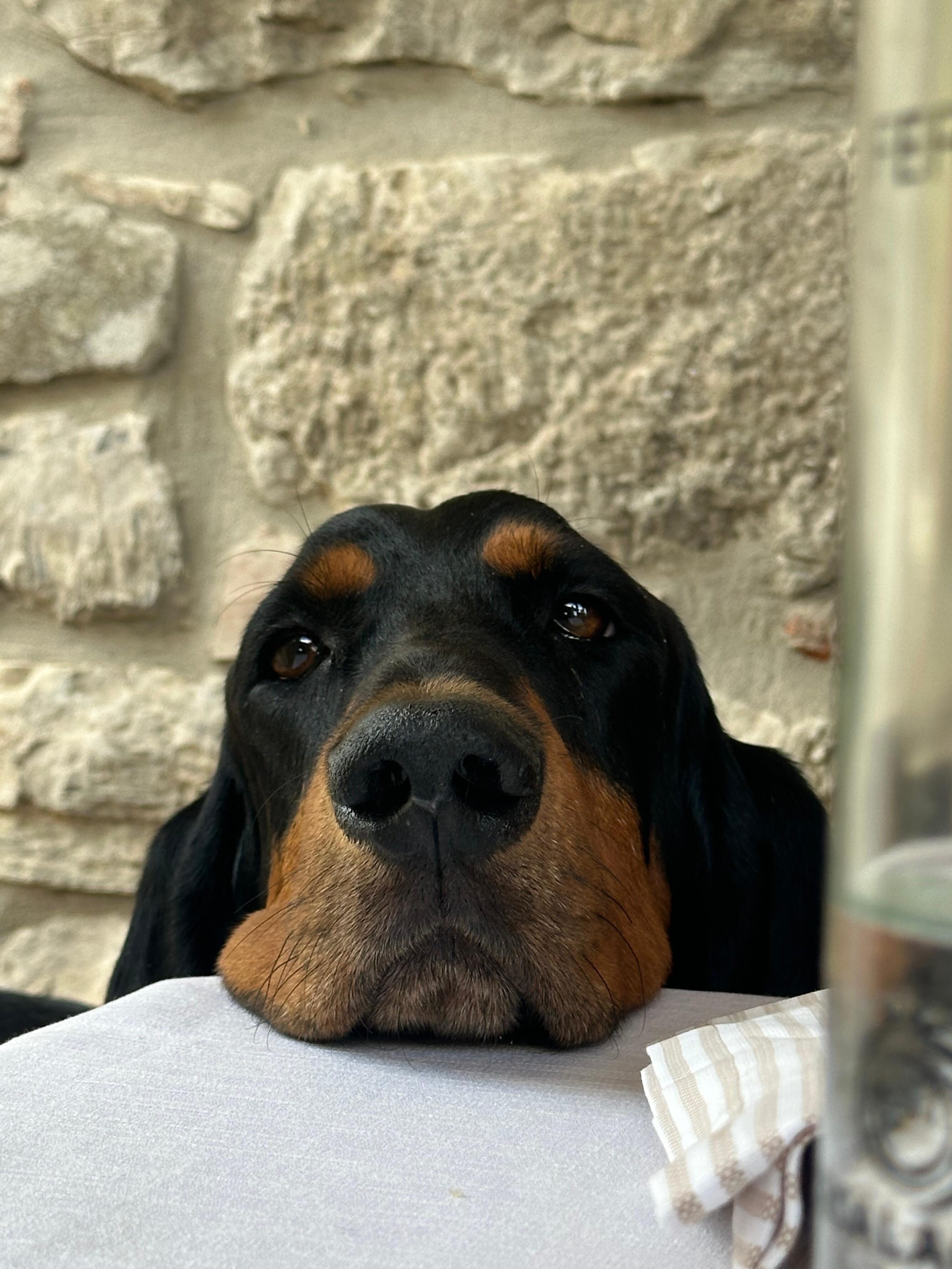 Corso Avanzato IAA (Modulo 3)